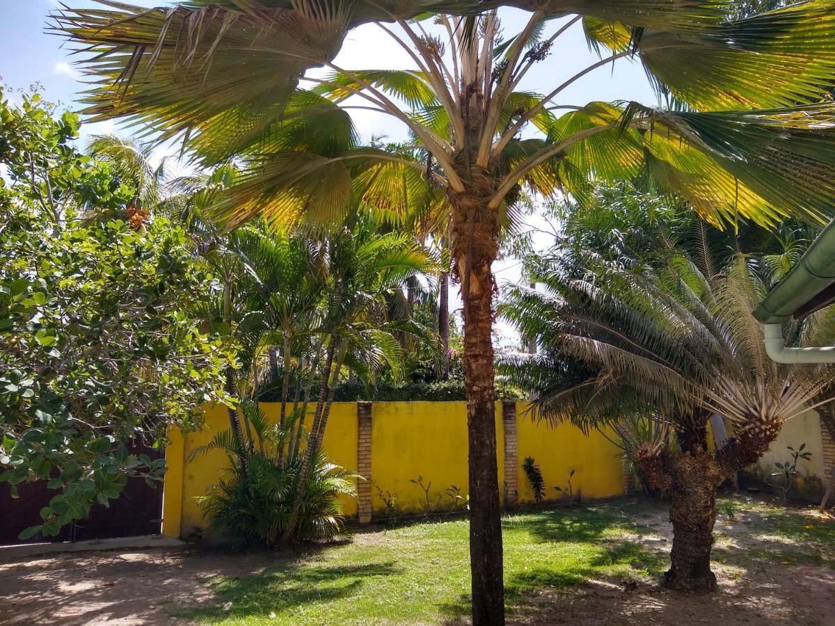 Hotel Pousada Porto Do Colibri Pôrto das Galinhas Εξωτερικό φωτογραφία